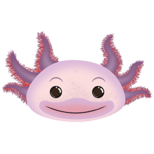 Illustration d’un axolotl de la collection Doudounimaux, avec un grand sourire et un regard joyeux.
