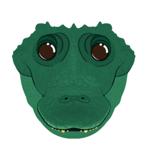Illustration d’un crocodile de la collection Doudounimaux, avec un sourire malicieux et des yeux pétillants.