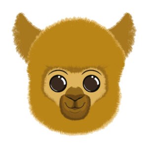 Lama doux