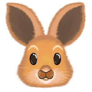Lapin sautillant