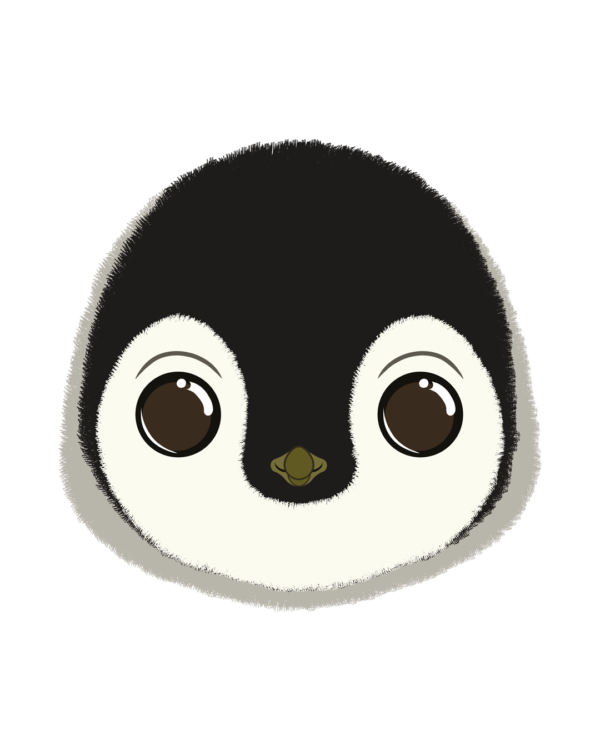 Illustration d’un pingouin de la collection Doudounimaux, avec un sourire doux et un regard malicieux.