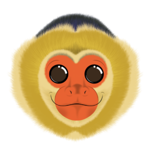 Illustration d’un capucin de la collection Doudounimaux, avec un sourire chaleureux et un regard doux et bienveillant.