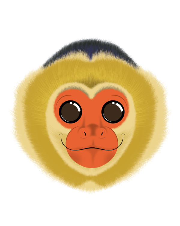 Illustration d’un capucin de la collection Doudounimaux, avec un sourire chaleureux et un regard doux et bienveillant.