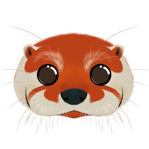 Illustration d’une loutre de la collection Doudounimaux, avec un sourire chaleureux et un regard doux et bienveillant.