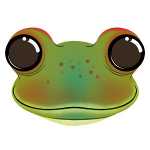Illustration d’une rainette de la collection Doudounimaux, avec un sourire chaleureux et un regard doux et bienveillant.