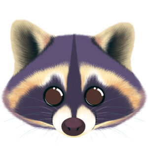 Illustration d’un raton laveur de la collection Doudounimaux, avec un sourire chaleureux et un regard doux et bienveillant.