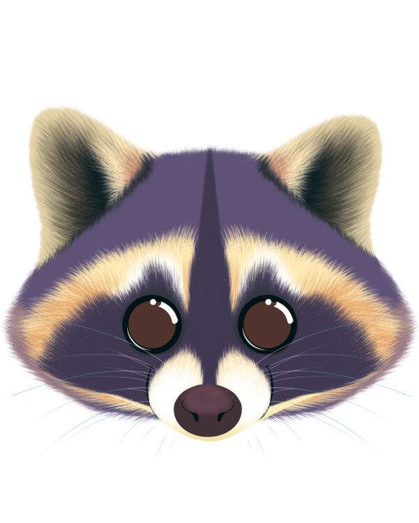 Illustration d’un raton laveur de la collection Doudounimaux, avec un sourire chaleureux et un regard doux et bienveillant.