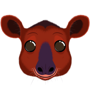 Illustration d’un tapir de la collection Doudounimaux, avec un sourire chaleureux et un regard doux et bienveillant.