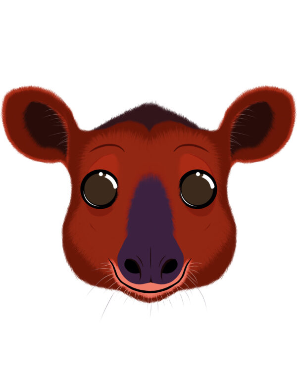Illustration d’un tapir de la collection Doudounimaux, avec un sourire chaleureux et un regard doux et bienveillant.