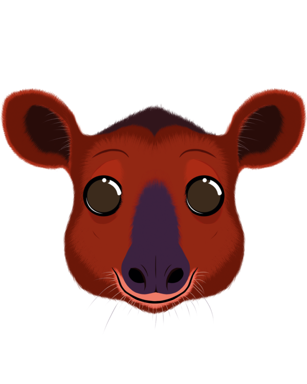 Illustration d’un tapir de la collection Doudounimaux, avec un sourire chaleureux et un regard doux et bienveillant.
