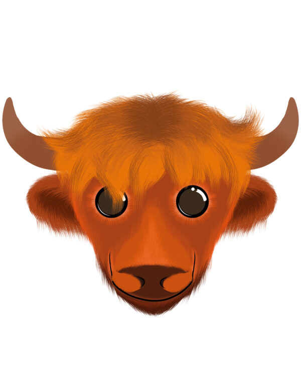 Illustration d’un yak de la collection Doudounimaux, avec un sourire chaleureux et un regard doux et bienveillant.