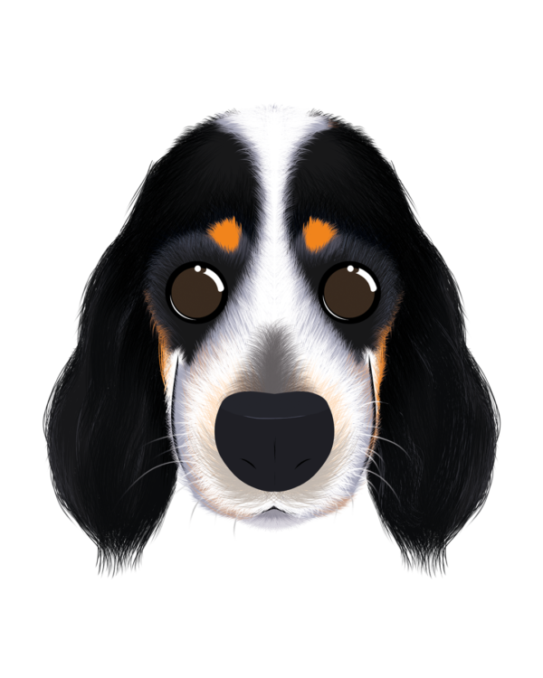 Illustration d’un setters de la collection Doudounimaux sur mesure, avec un sourire chaleureux et un regard doux et bienveillant.