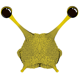 Illustration d’un escargot de la collection Doudounimaux, avec un sourire chaleureux et un regard doux et bienveillant.
