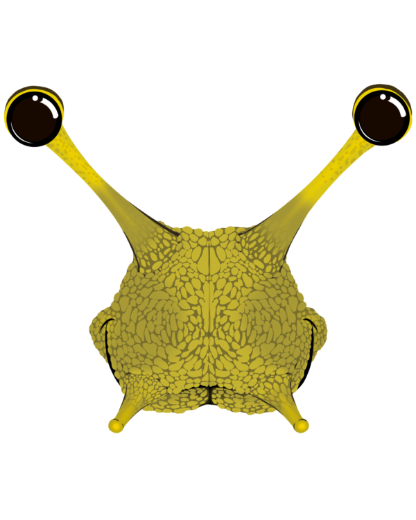 Illustration d’un escargot de la collection Doudounimaux, avec un sourire chaleureux et un regard doux et bienveillant.