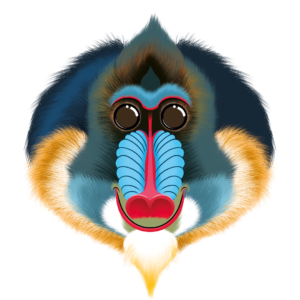 Illustration d’un mandril de la collection Doudounimaux, avec un sourire chaleureux et un regard doux et bienveillant.