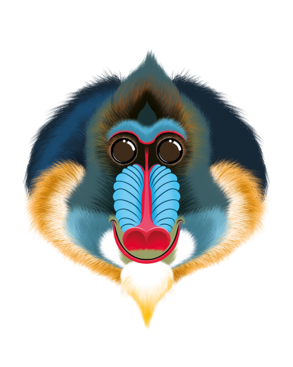 Illustration d’un mandril de la collection Doudounimaux, avec un sourire chaleureux et un regard doux et bienveillant.