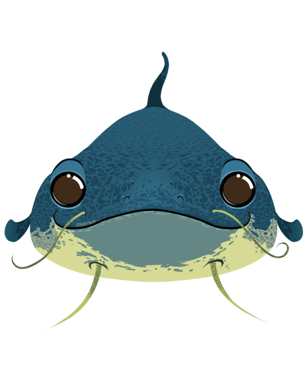 Illustration d’un poisson chat de la collection Doudounimaux, avec un sourire chaleureux et un regard doux et bienveillant.